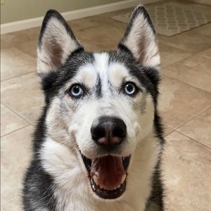 Meet your Posher, Laurie